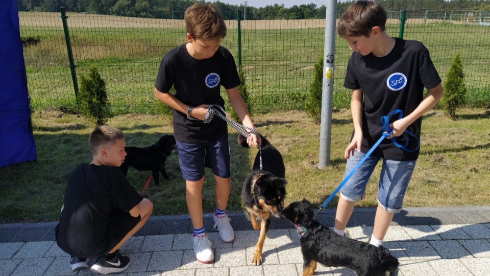 Akcja adopcyjna miała na celu nie tylko znaleźć nowy dom dla psiaków, ale też nauczyć właścicieli pewnych nawyków/fot: Marcin Doliński