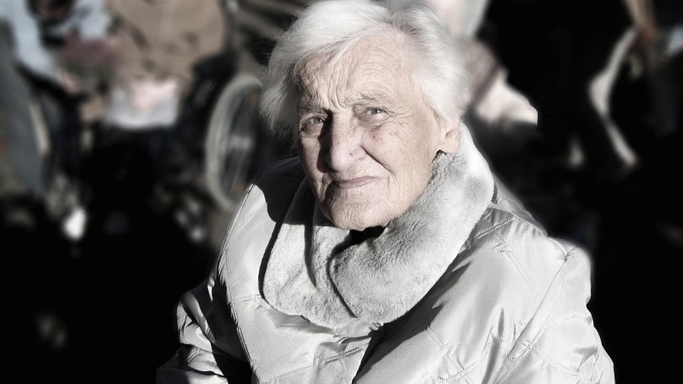 Starsza z Torunia straciła 300 tysięcy złotych. Zdjęcie ilustracyjne/fot. Pixabay