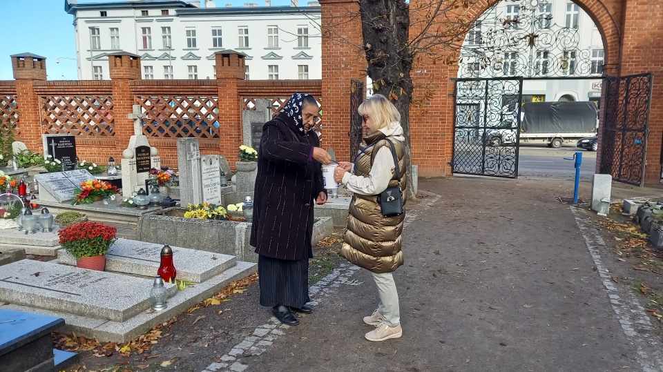Kwesta na cmentarzu Starofarnym w Bydgoszczy/fot. Tatiana Adonis, Archiwum