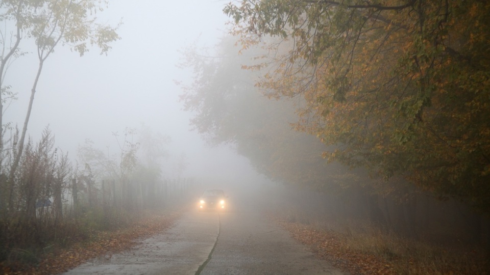 Mgła w regionie może zmniejszać widzialność do 100 metrów/fot. ilustracyjna, Pixabay