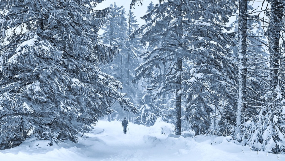 Południe Polski pokryte jest śniegiem, którego ma być w najbliższych dniach więcej. Zdjęcie ilustracyjne/fot. Pixabay
