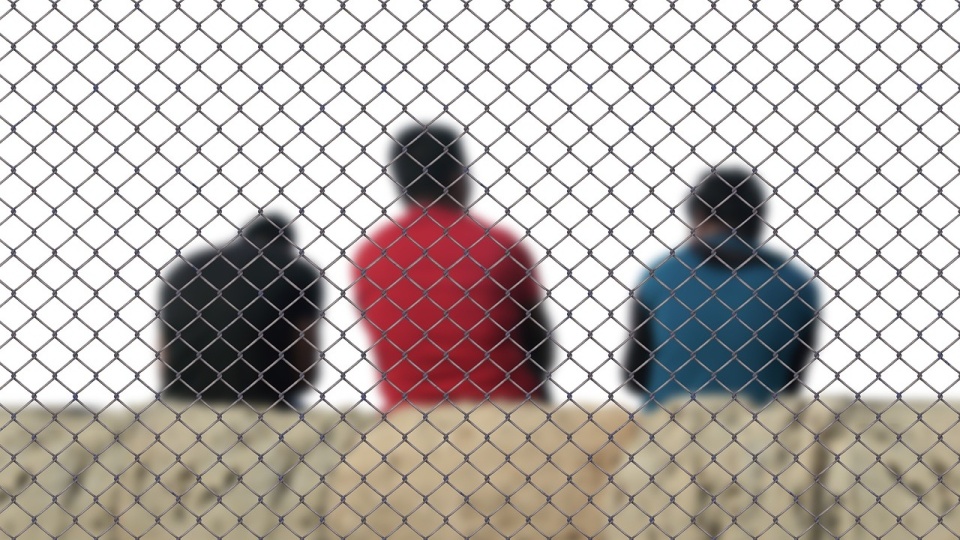 W listopadzie liczba wniosków o azyl w Niemczech osiągnęła nowy rekord: do Federalnego Urzędu ds. Migracji i Uchodźców (BAMF) wpłynęło 35 316 pierwszych wniosków o azyl. Zdjęcie ilustracyjne /fot. Pixabay
