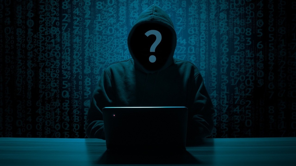 Przestępcy wykorzystują cyfrowe technologie, np. podszywając się pod rozmaite instytucje. Zdjęcie ilustracyjne/fot. Pixabay