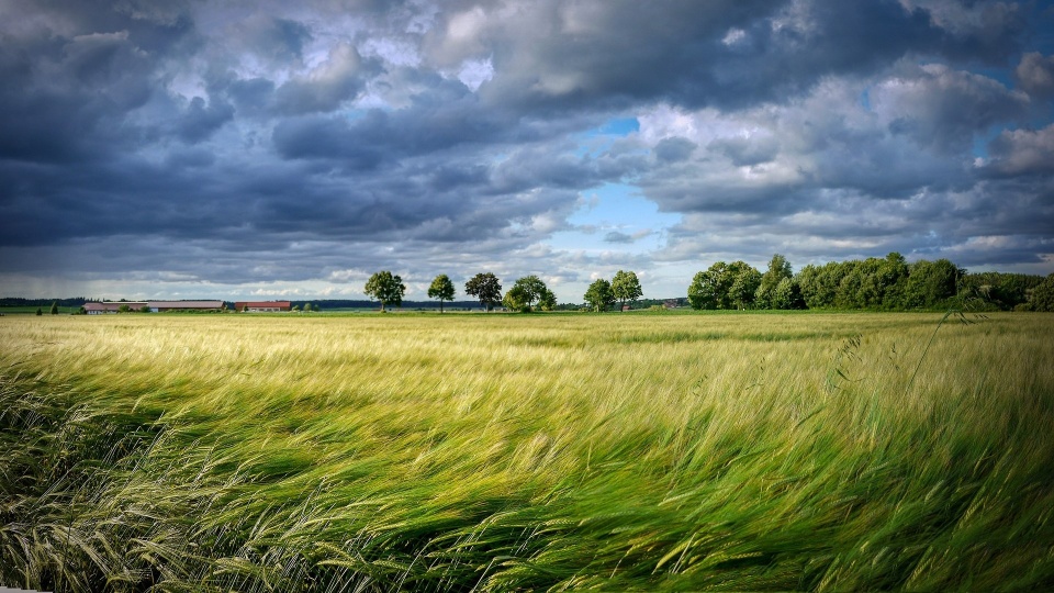 IMGW wydał ostrzeżenie przed silnym wiatrem w regionie. Porywy mogą osiągać nawet 85 km/h/fot: zdjęcie ilustracyjne, Pixabay