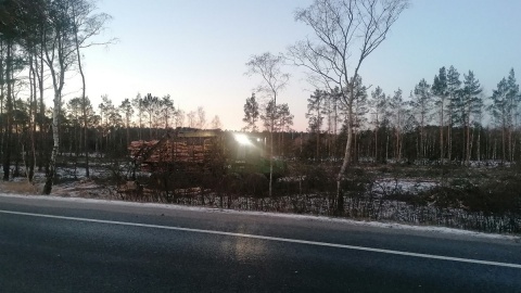Znikają lasy przy głównej drodze na odcinku Stryszek-Brzoza pod Bydgoszczą/fot. Magdalena Gill