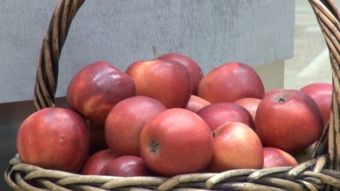 W całej Polsce trwa Świąteczna zbiórka żywności. Jak z zaangażowaniem w naszym regionie [SONDA]