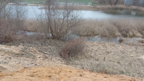 Według toruńskich społeczników cenne przyrodniczo tereny na Winnicy zostaną zdegradowane w wyniku planowej tam inwestycji/fot. Michał Zaręba