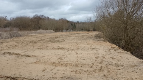 Według toruńskich społeczników cenne przyrodniczo tereny na Winnicy zostaną zdegradowane w wyniku planowej tam inwestycji/fot. Michał Zaręba