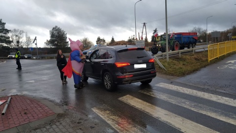 Protest w okolicach Świecia/fot. Marcin Doliński