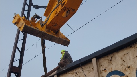 Przez całą noc zbierali kukurydzę robotnicy wynajęci przez gdyńską firmę kontrolującą transporty towarów rolno-spożywczych/fot. Elżbieta Rupniewska