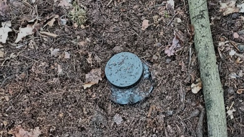 Narkotykową skrytkę policjanci namierzyli pod ziemią w lesie pod Górskiem /fot. Policja