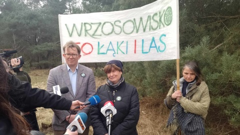 Chcą ochronić przed zabudową toruńskie Wrzosowisko /fot. Michał Zaręba