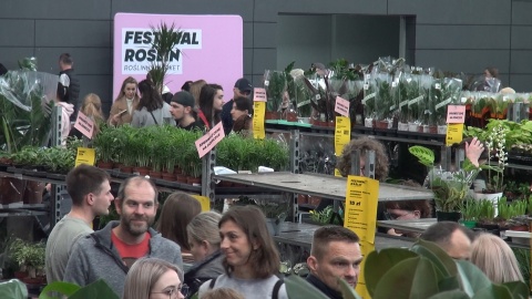Festiwal roślin na Łuczniczce (jw)