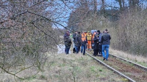 Społecznicy, przedstawiciele władz Mogilna i sami mieszkańcy wyrazili oburzenie postępowaniem PKP SA. Chodzi o linię kolejową nr 239 z Mogilna do Orchowa, która jest rozbierana, pomimo społecznego sprzeciwu/fot. nadesłane