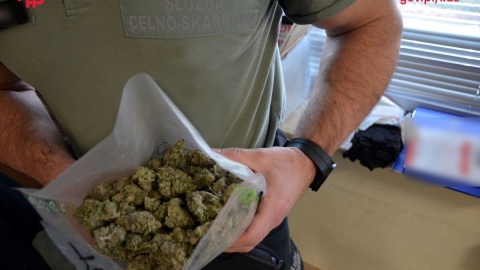 Okazało się, że w paczce są cztery pakiety z suszem roślinnym. Wstępne badanie narkotesterem wykazało, że to marihuana/fot. KAS