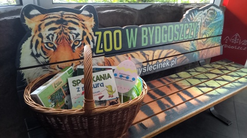 Na odwiedzających ZOO w Myślęcinku przygotowano wiele upominków. Wystarczy znaleźć jajka wielkanocne, rozrzucone po całym obiekcie/fot: Tatiana Adonis