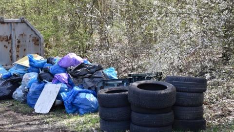 Akcja „Kręci nas recykling" w podbydgoskich Białych Błotach/fot. Sara Komoń