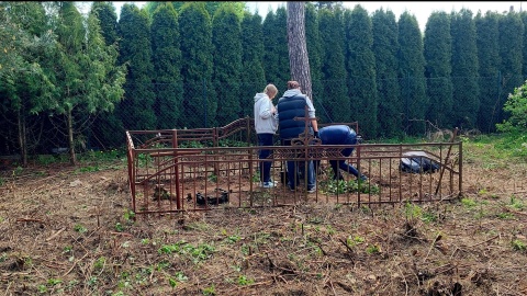 Cmentarz ewangelicki u zbiegu ul. Koronowskiej i Opławiec w Bydgoszczy/fot. Koalicja Ocalić - Pamięć