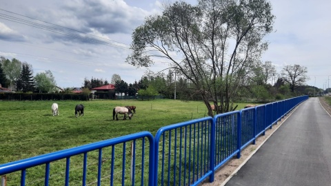 Zakończyła się budowa ciągu pieszo-rowerowego między podbydgoską Brzozą, a Nową Wsią Wielką/fot. Magdalena Gill