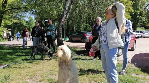 CHARTytatywny spacer w bydgoskim Myślęcinku/fot. Monika Siwak