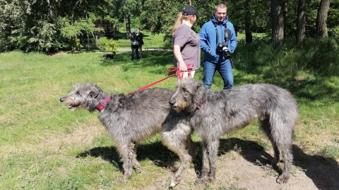 CHARTytatywny spacer w bydgoskim Myślęcinku/fot. Monika Siwak