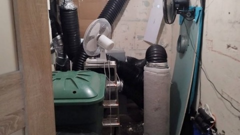 Policjanci zabezpieczyli 62 rośliny konopi indyjskich w różnej fazie wzrostu oraz przedmioty i instalacje służące do prowadzenia uprawy/fot. materiały policji