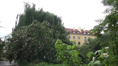 Otwarcie zrewitalizowanego Ogrody Botanicznego (fot: Janusz Wiertel)