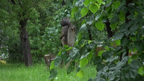 Otwarcie zrewitalizowanego Ogrody Botanicznego (fot: Janusz Wiertel)