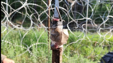 W trakcie realizacji zadań wzdłuż granicy polsko-białoruskiej żołnierz został pchnięty nożem przez migranta znajdującego się po białoruskiej stronie/fot. Straż Graniczna