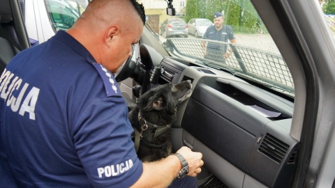 Na terenie Oddziału Prewencji Policji w Bydgoszczy, Komendy Miejskiej Policji w Bydgoszczy oraz dawnej strzelnicy Komendy Wojewódzkiej Policji w Białych Błotach odbyły się Wojewódzkie Eliminacje do XXI Kynologicznych Mistrzostw Policji. Zwycięzcy, Palnik i Ognik z Bydgoszczy oraz Tucholi, będą reprezentować województwo w ogólnopolskich zawodach/fot. KWP Bydgoszcz