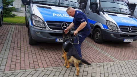 Na terenie Oddziału Prewencji Policji w Bydgoszczy, Komendy Miejskiej Policji w Bydgoszczy oraz dawnej strzelnicy Komendy Wojewódzkiej Policji w Białych Błotach odbyły się Wojewódzkie Eliminacje do XXI Kynologicznych Mistrzostw Policji. Zwycięzcy, Palnik i Ognik z Bydgoszczy oraz Tucholi, będą reprezentować województwo w ogólnopolskich zawodach/fot. KWP Bydgoszcz