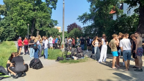 Wyścigi Smoczych Łodzi na Kanale Bydgoskim/fot. Tatiana Adonis