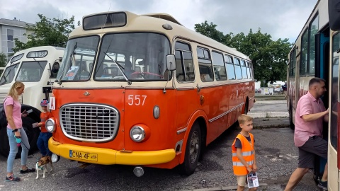 Zabytkowe autobusy pojawiły się na bydgoskich ulicach i rozwożą pasażerów. To wszystko z okazji zlotu historycznych pojazdów/fot: Tatiana Adonis