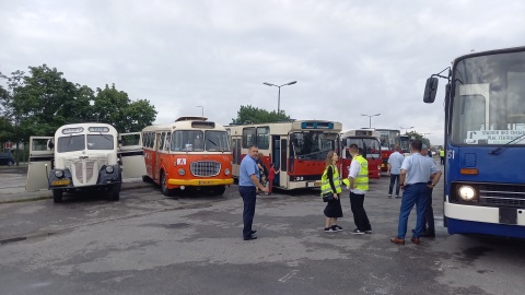 Zabytkowe autobusy pojawiły się na bydgoskich ulicach i rozwożą pasażerów. To wszystko z okazji zlotu historycznych pojazdów/fot: Tatiana Adonis