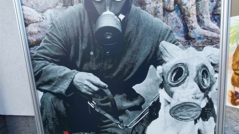 Zwierzętom, które od zawsze towarzyszyły człowiekowi podczas wypraw wojennych, poświęcona jest wystawa w Muzeum Wojsk Lądowych w Bydgoszczy/fot. Elżbieta Rupniewska