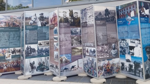 Zwierzętom, które od zawsze towarzyszyły człowiekowi podczas wypraw wojennych, poświęcona jest wystawa w Muzeum Wojsk Lądowych w Bydgoszczy/fot. Elżbieta Rupniewska