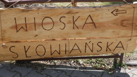 Kruszwickie Nowalijki/fot. Adam Hibner