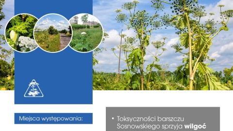 Materiały Sanepidu
