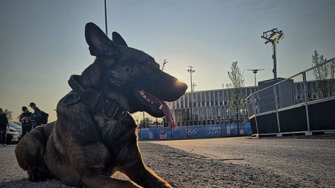 To nie wakacje, ale tę służbę będę wspominał przez długie lata - mówi Przemysław Kubiak, bydgoski policjant, który jest w Paryżu i pomaga francuskim funkcjonariuszom zadbać o bezpieczeństwo podczas odbywających się tam Igrzysk Olimpijskich/fot. KWP Bydgoszcz