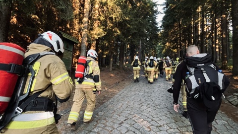 Strażacy z OSP Brzoza wzięli udział w ogólnopolskiej akcji i w pełnym ekwipunku weszli na Śnieżkę/fot: nadesłane
