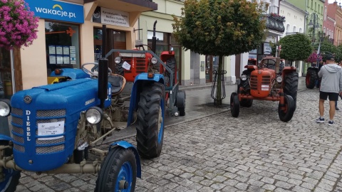 Wystawa zabytkowych samochodów w Wąbrzeźnie/fot. Damian Klich