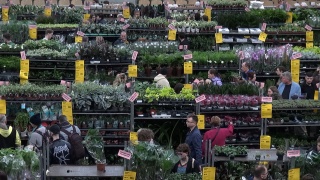 Zielonym do góry, zwłaszcza na wiosnę Festiwal Roślin na Łuczniczce [wideo, zdjęcia]