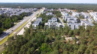 Zielona Konstytucja dla Torunia stała się faktem. Miejskie rośliny pod ochroną