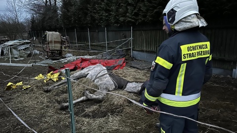 Bez koparki nie podnieśliby konia z ziemi. Tak strażacy ratowali chore zwierzę [zdjęcia]