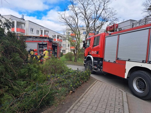 Pożar mieszkania w Osówcu pod Bydgoszczą. Ewakuowano sześć osób