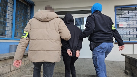 19-latka zgłosiła się do seniorki z Włocławka po kaucję. Trafiła do aresztu