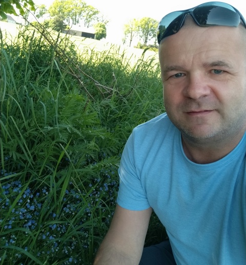 Dziś Dzień Polskiej Niezapominajki Nasz dziennikarz szukał tych kwiatów w Borach Tucholskich