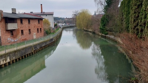 Brda w Koronowie/fot. Elżbieta Rupniewska, archiwum