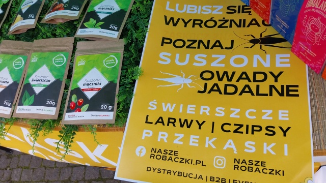 Głodni Świerszcze i mączniki w menu bydgoskiego zlotu foodtrucków. Co jeszcze [zdjęcia]