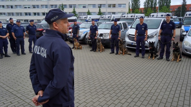 Najlepsze nosy w województwie Palnik i Ognik jadą na mistrzostwa kynologiczne [zdjęcia]